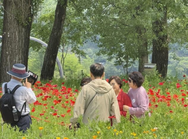 가평군, 철도관광상품 ‘순항’… 다양한 테마 '인기'