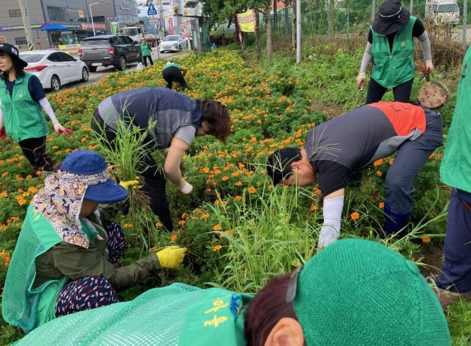 백사면, 꽃길 가꾸기 및 국토 대청소 실시