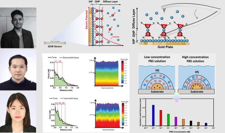Ulster University의 Nikhil Bhalla 교수(상), 전남대학교 이두진 교수(중), 송예은 박사과정생(하)이 참여한 국제 공동연구를 통해 고체-액체 계면에서 이온 농도에 따른 수화 구조 및 전기이중층 특성을 정량적으로 분석한 연구 개요.
