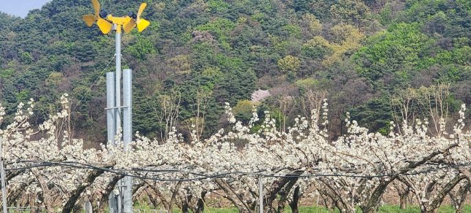이천시, ‘2026년 지역전략작목 육성’ 공모사업 선정