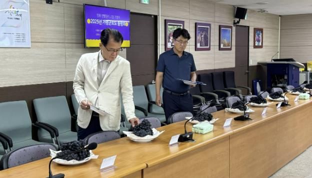 가평군, 명품 캠벨얼리 포도 품평회서 탑4 선발