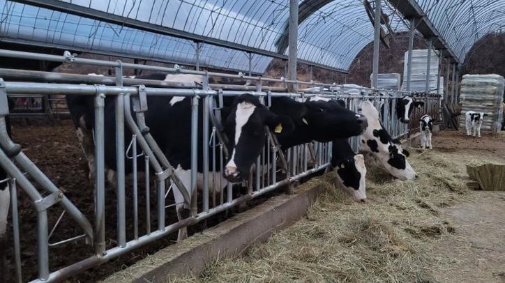 남원시, ‘2026년 축산악취개선사업’ 공모 선정