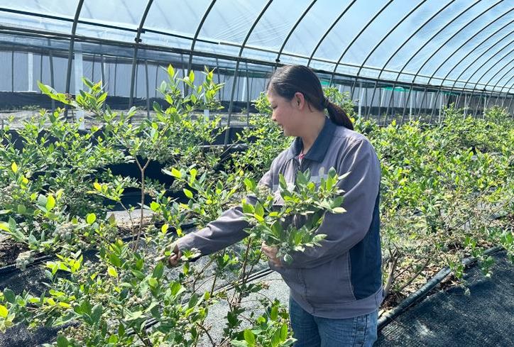정읍시, ‘2026년 외국인 계절근로자 프로그램’ 수요조사 실시
