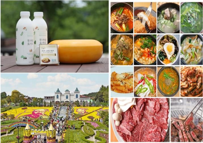 임실N치즈축제의 특별한 맛…저지종 숙성치즈‘천하일미’