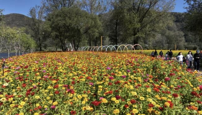 가평군, 숙박할인‧가을축제로 관광객 유치 총력