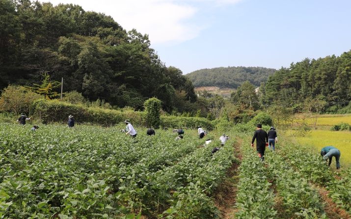 농촌일손돕기 실시
