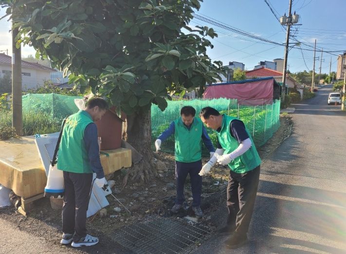 장흥면 새마을지도자양주시협의회 추석맞이 봉사, 깃발교체·유충방역·환경정화로 지역 밝히다.