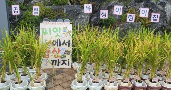 양주시 꼬마농부학교, 제18회 전국 벼․콩 재배화분 콘테스트 4개 분야 9점 수상!