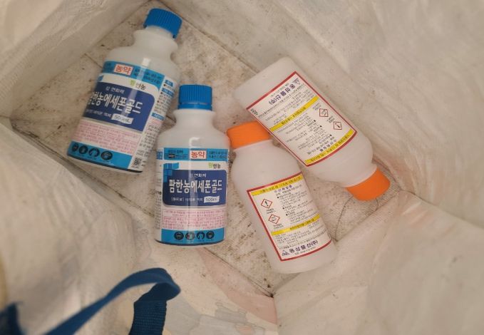 후숙・강제착색에 이용된 생장조정제와 수산화칼륨