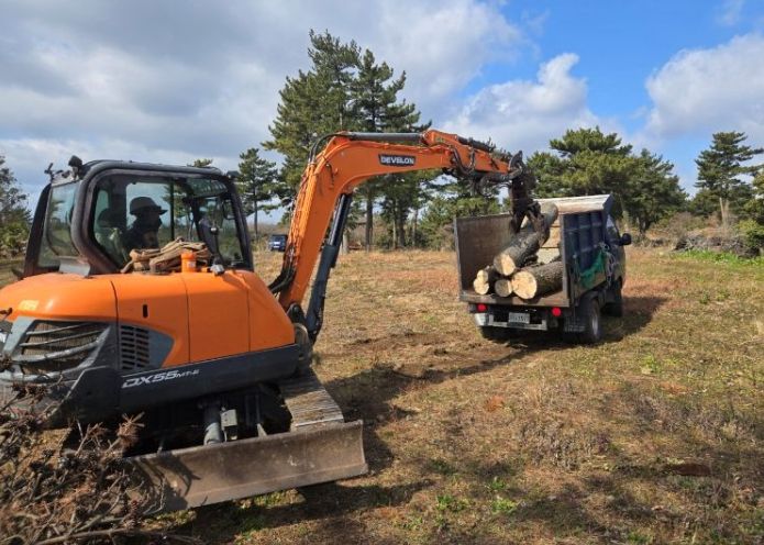 소나무재선충병 방제사업