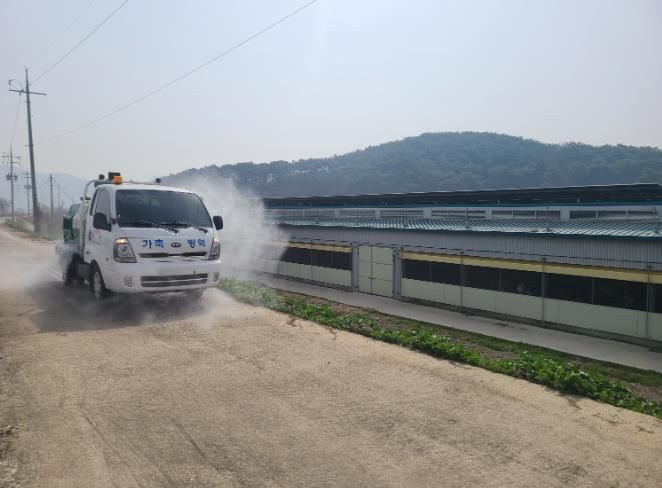 광주광역시, 10월부터 AI 특별방역대책 시행