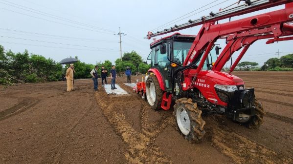 마늘 기계 파종