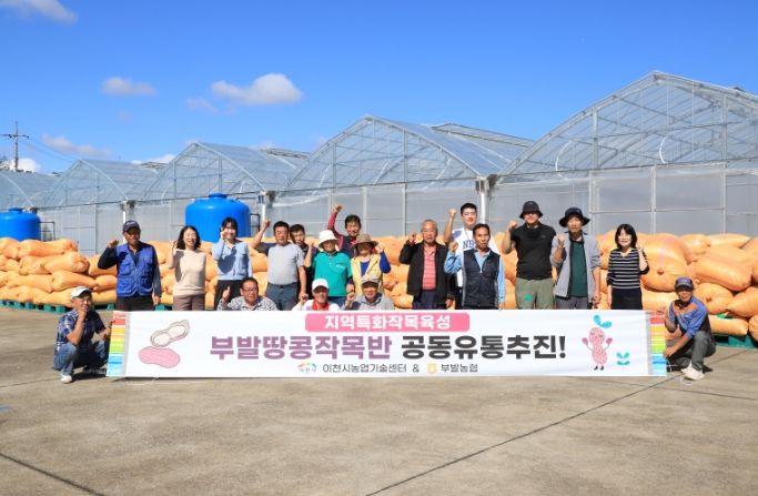 이천 부발땅콩, 첫 공동 유통 개시… 농가 소득 안정·지역경제 활력 기대