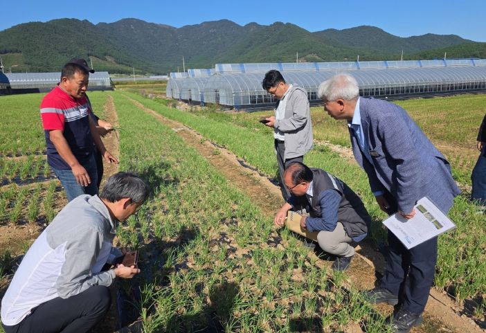 장흥 쪽파 피해현장 방문