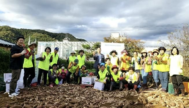 양평군 청운면 지역사회보장협의체, 고구마 수확으로 이웃 사랑 실천