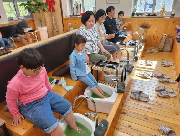 전라남도교육청, ‘녹차 족욕 체험’사진