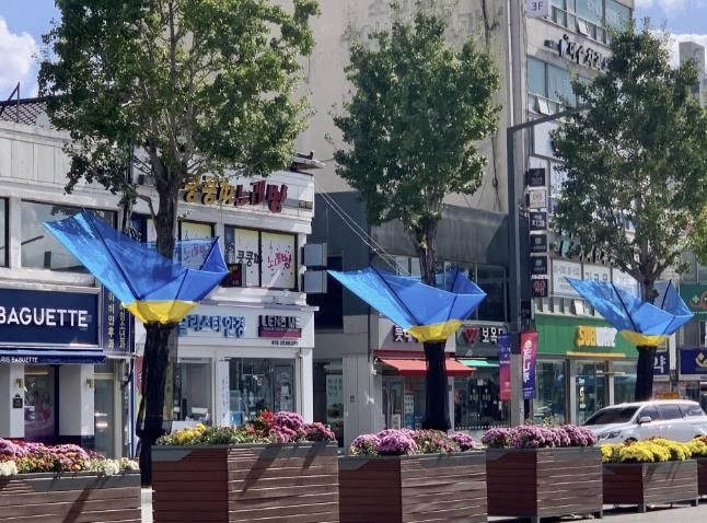 여주시, 은행나무 열매 악취 STOP!