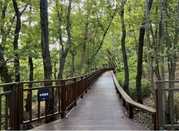 ‘서리풀공원 무장애숲길 연결로’ 조성