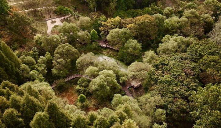 무장애 나눔길(물향기수목원)