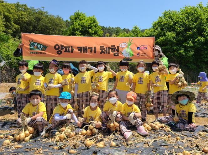 양파 캐기 체험 사진