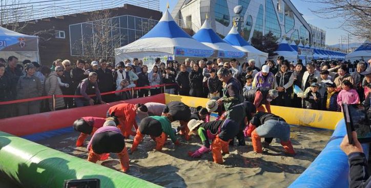 보성군, 청정 갯벌에서 ‘제21회 벌교꼬막축제’ 성료_관광객들이 ‘황금꼬막을 잡아라’를 하고 있다