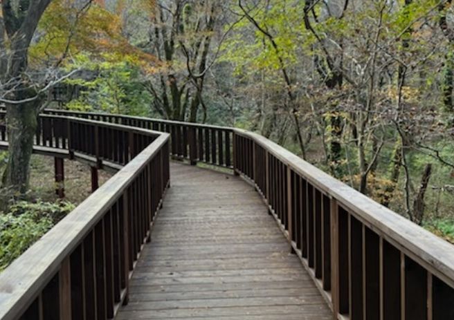 서귀포자연휴양림 무장애나눔길