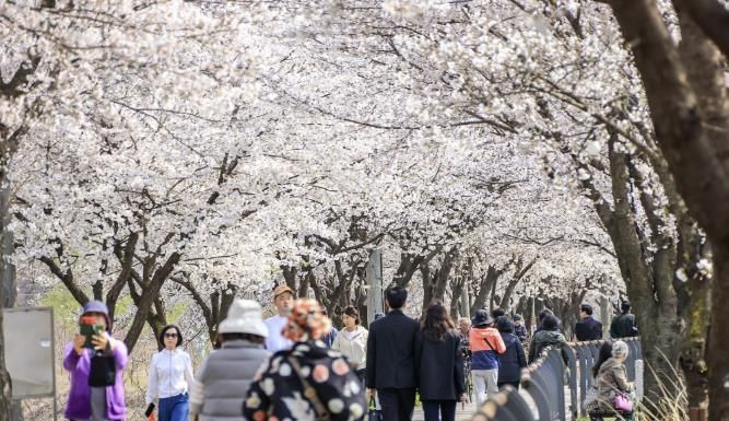 양평군, 제9회 갈산누리봄 축제 체험·마켓 부스 모집