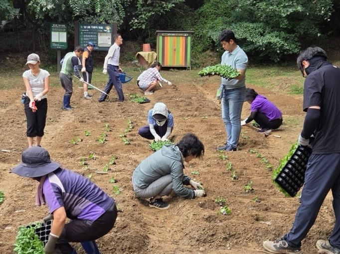 광진구, 가족과 함께 가꾸는 도심 속 자투리텃밭 확대 운영