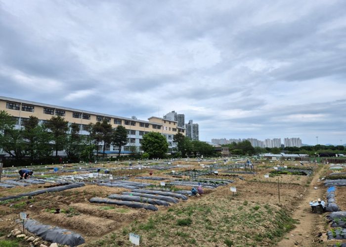 구리시, 「2026년 토평동 구리도시텃밭」운영