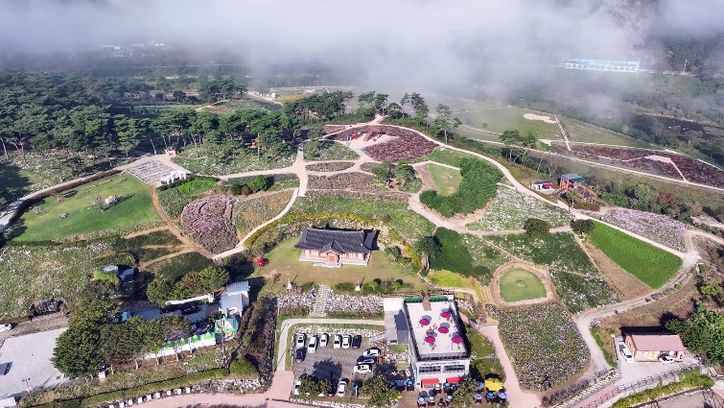 “명품 휴식과 착한 가격” 정읍시, 2026 구절초 꽃축제 준비 ‘착착’