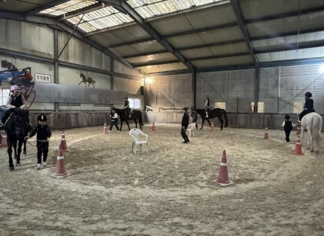 용인특례시가 '학생승마체험' 참가자를 모집한다