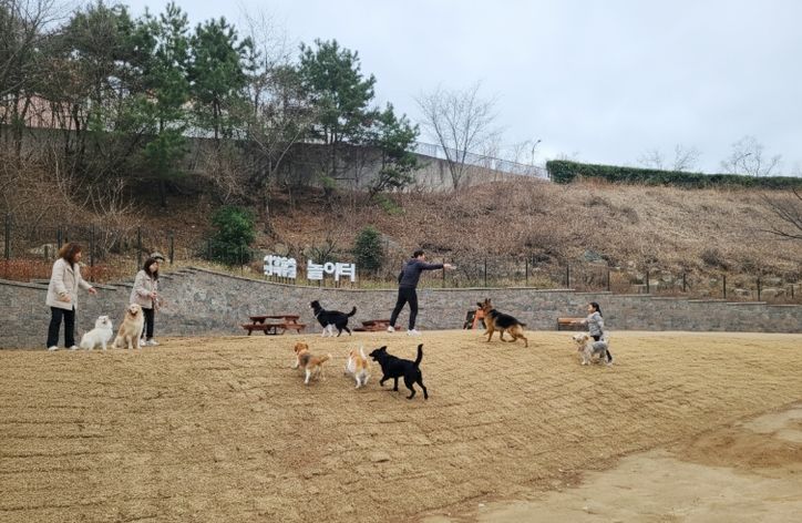 사상숲속반려동물 놀이터