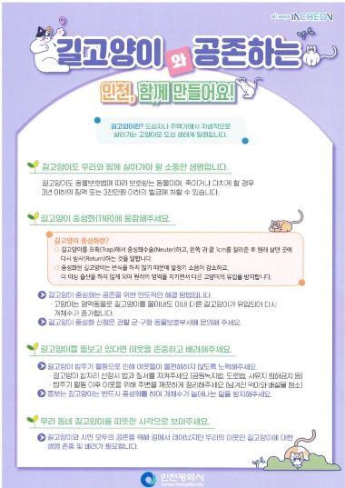 계양구, 길고양이 중성화 수술(TNR) 지원사업 추진