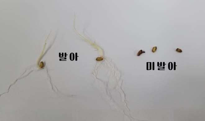 상주시농업기술센터