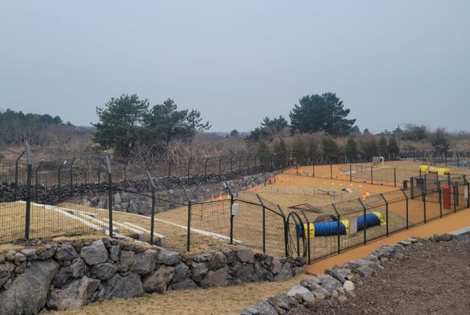 반려동물 놀이공원