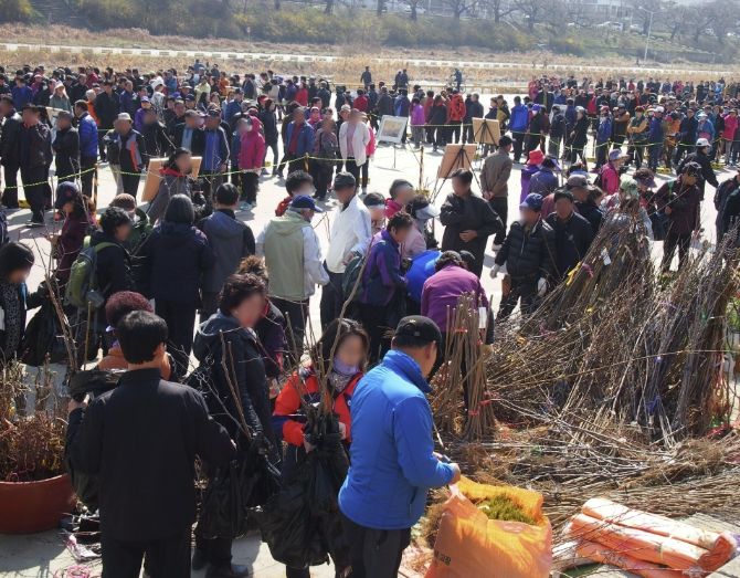 청주시, 식목일 기념 나무 나누어주기 행사 개최