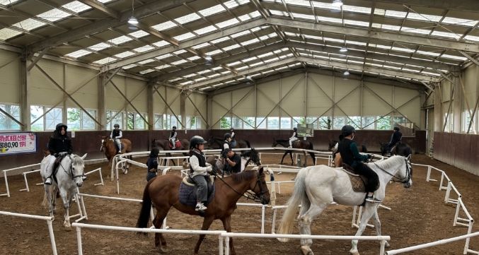 학생들의 관내 승마장 승마체험