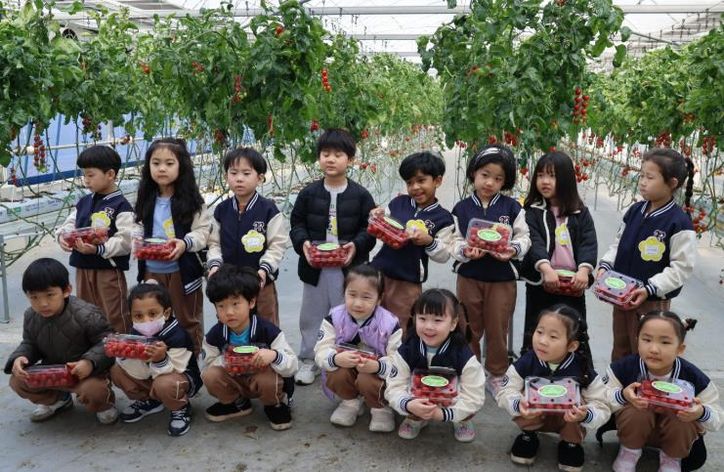 아이들이 월동 초화류와 토마토 따기 체험을 실시하고 있다.